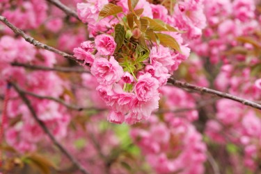 杭州余杭区线下个人借款平台一站式服务，轻松解决资金难题