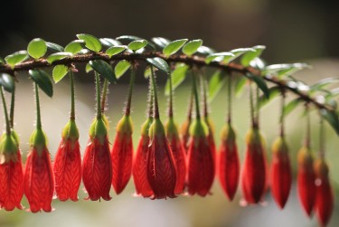 杭州余杭区零用贷短借：轻松解决临时资金需求